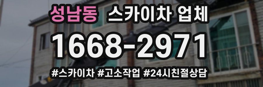 성남동 스카이차 업체
