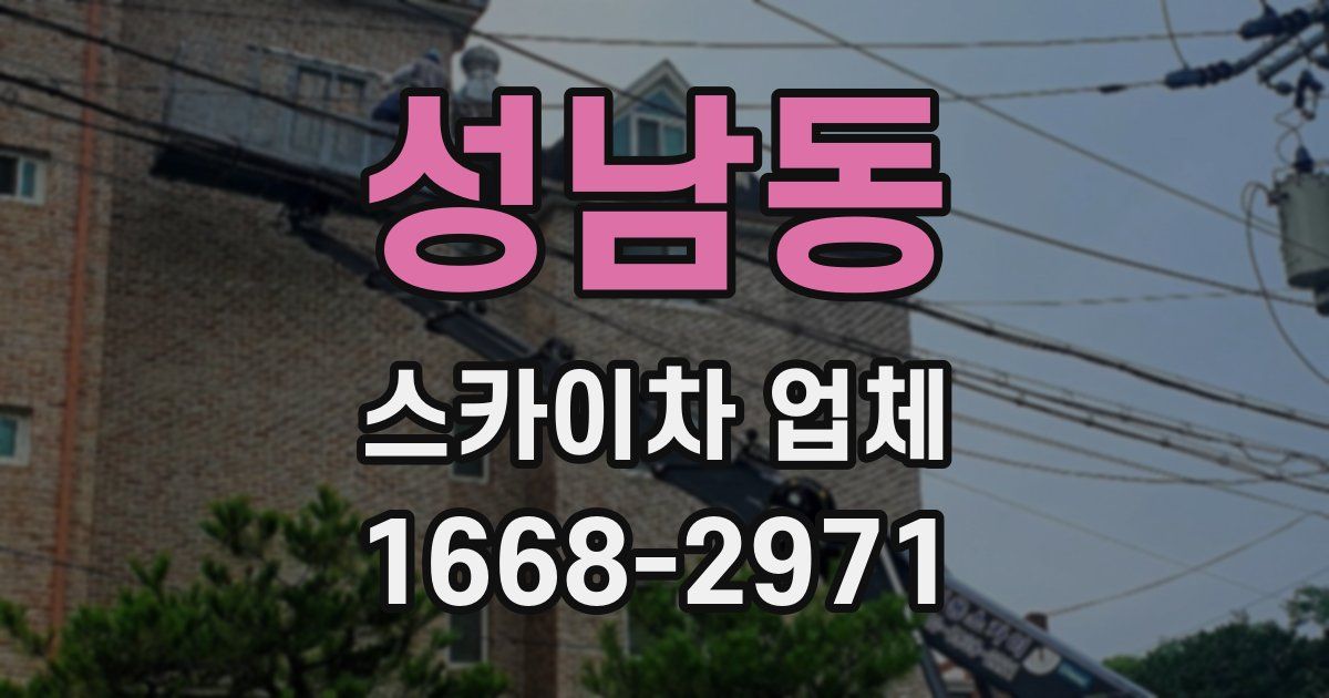 성남동 스카이차 업체