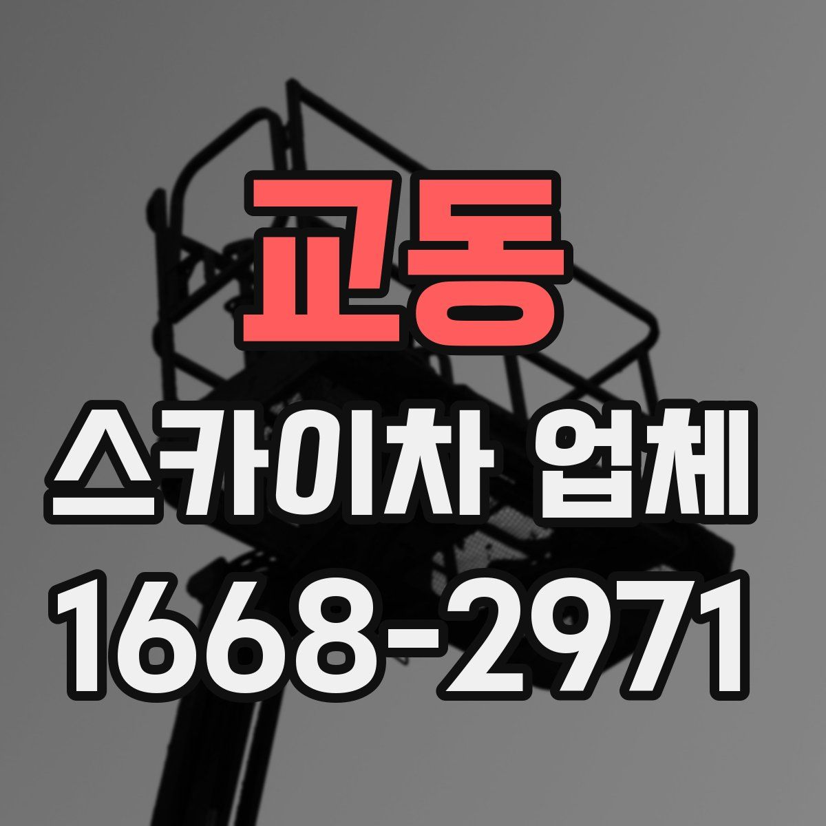 교동 스카이차 업체