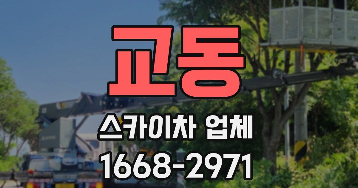 교동 스카이차 업체