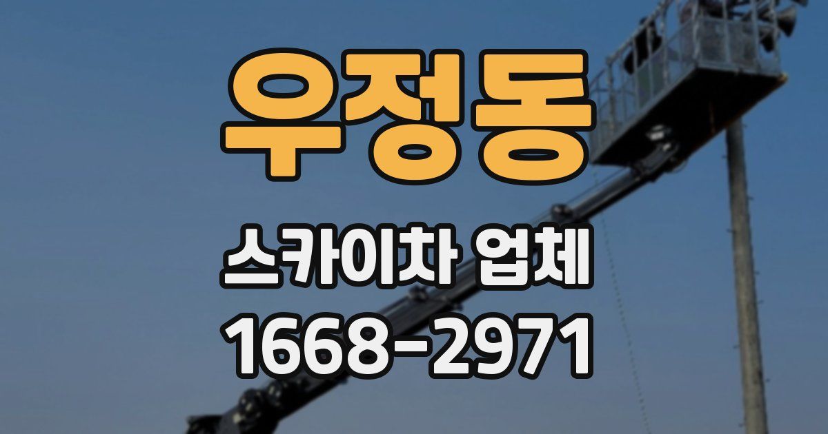 우정동 스카이차 업체