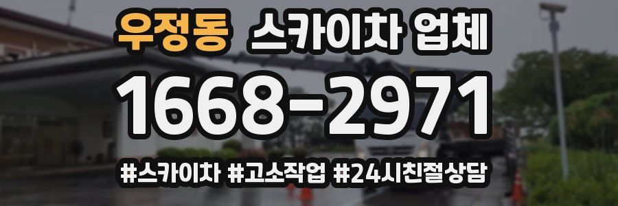 우정동 스카이차 업체