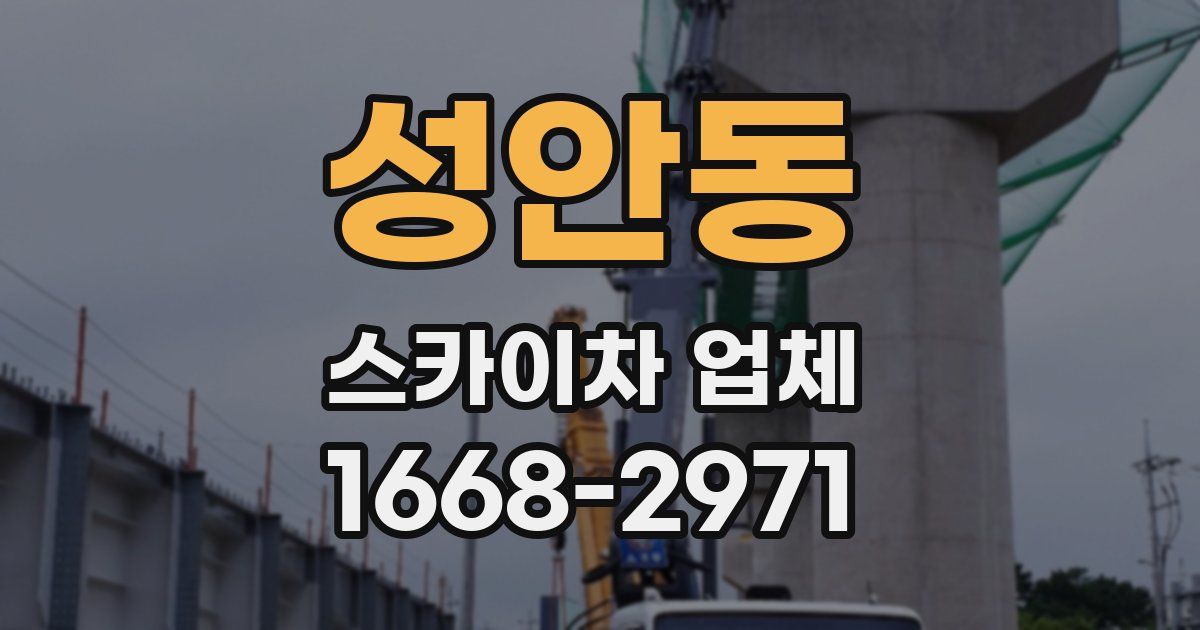성안동 스카이차 업체