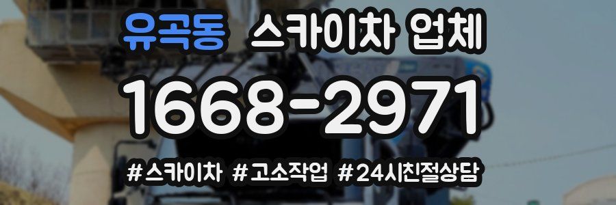 유곡동 스카이차 업체