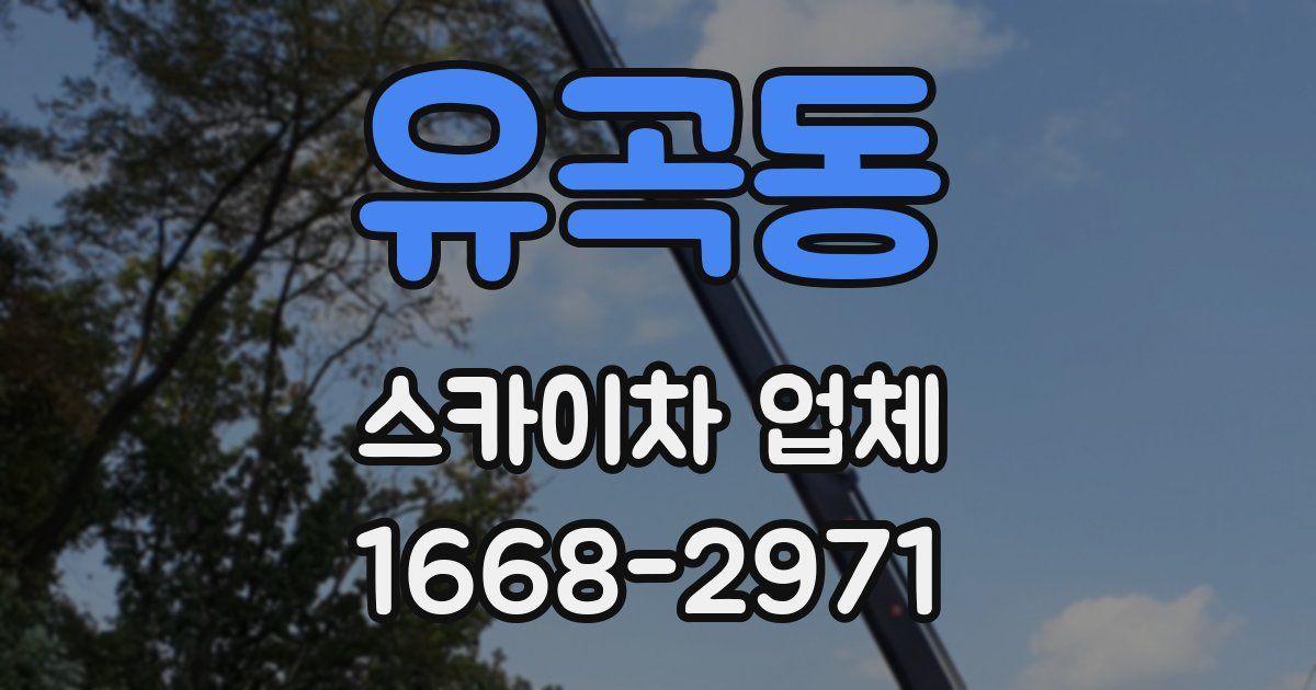 유곡동 스카이차 업체