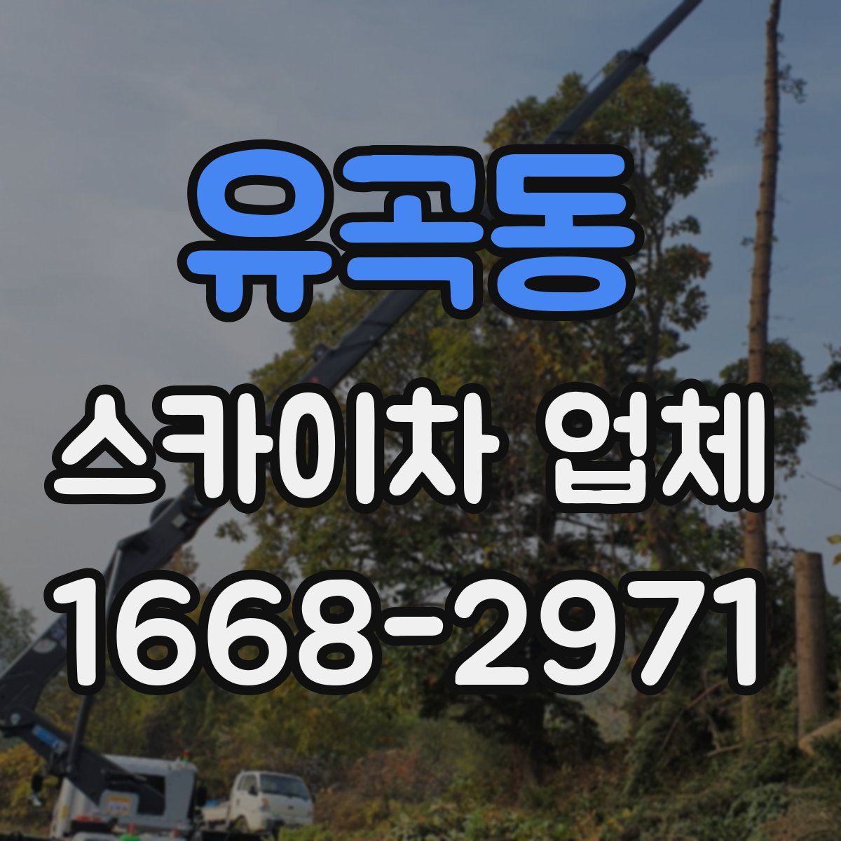 유곡동 스카이차 업체