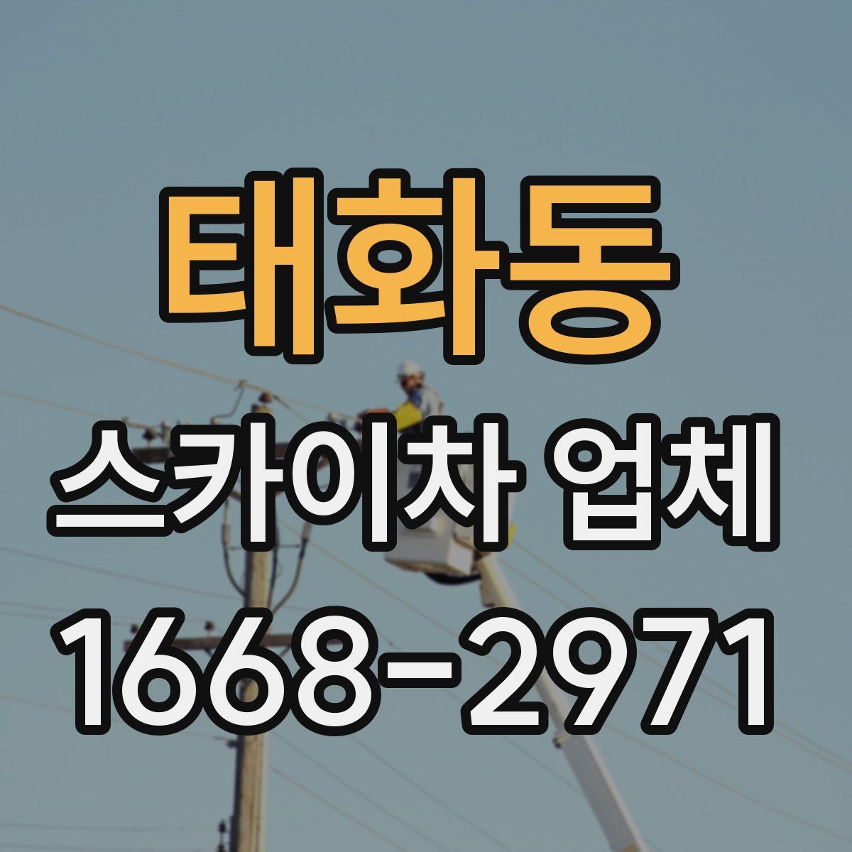 태화동 스카이차 업체