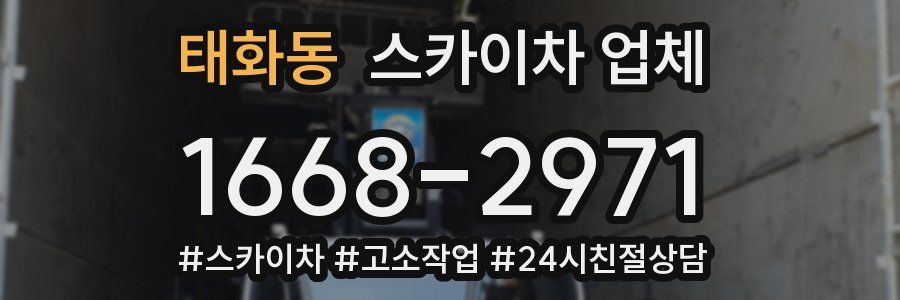 태화동 스카이차 업체