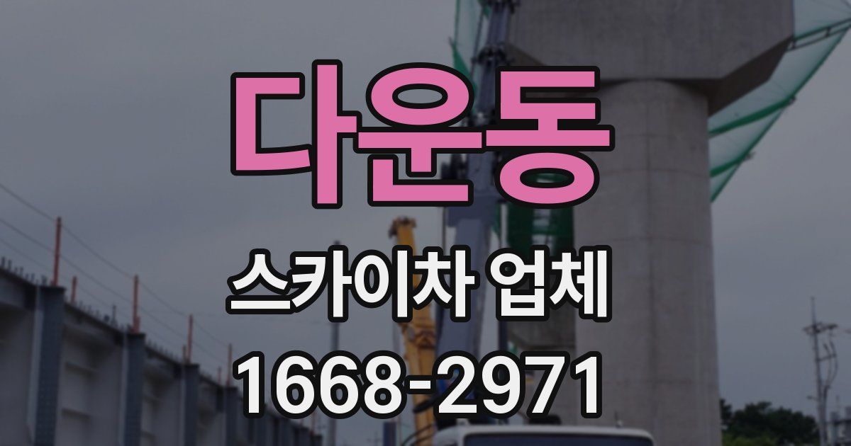 다운동 스카이차 업체