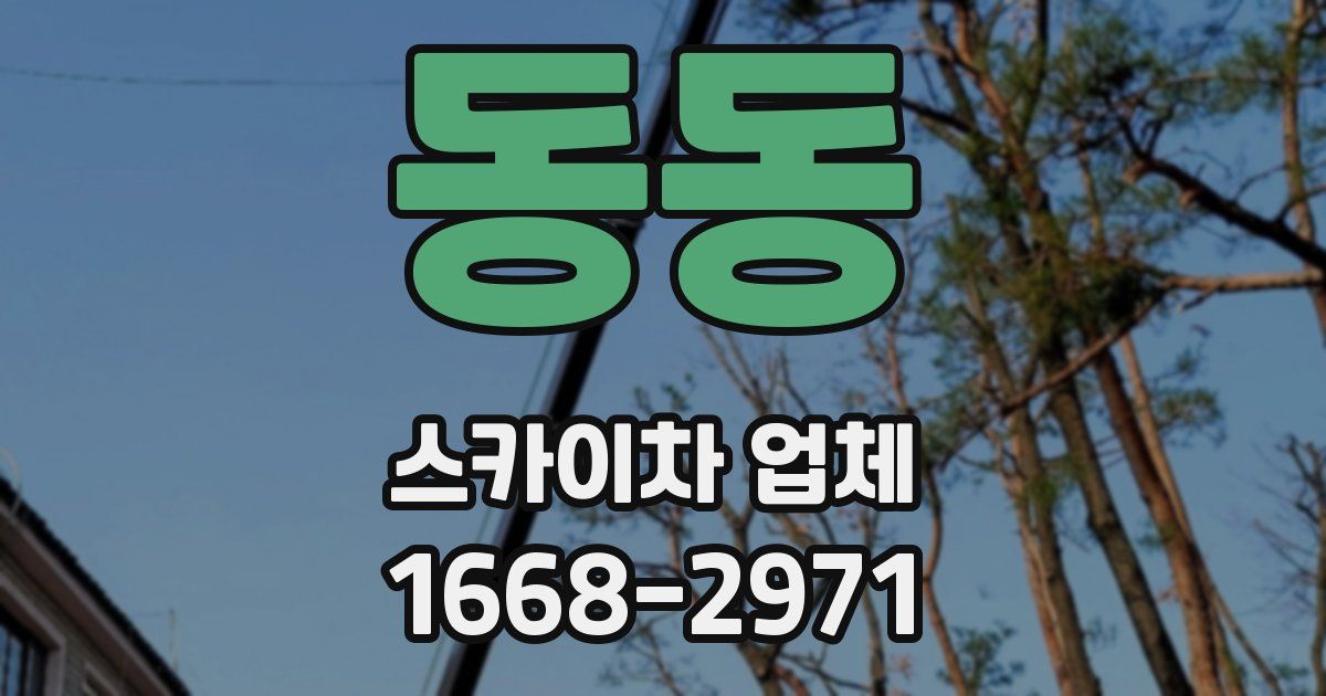 동동 스카이차 업체