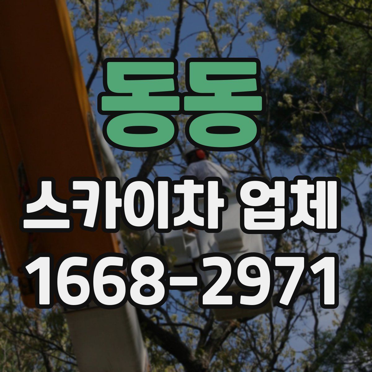 동동 스카이차 업체