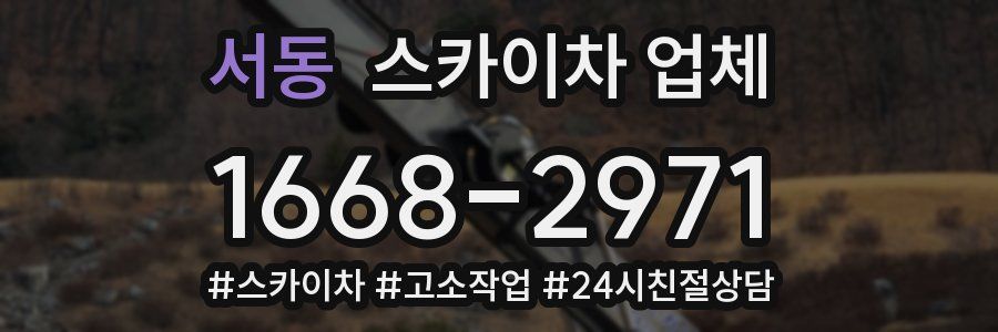 서동 스카이차 업체