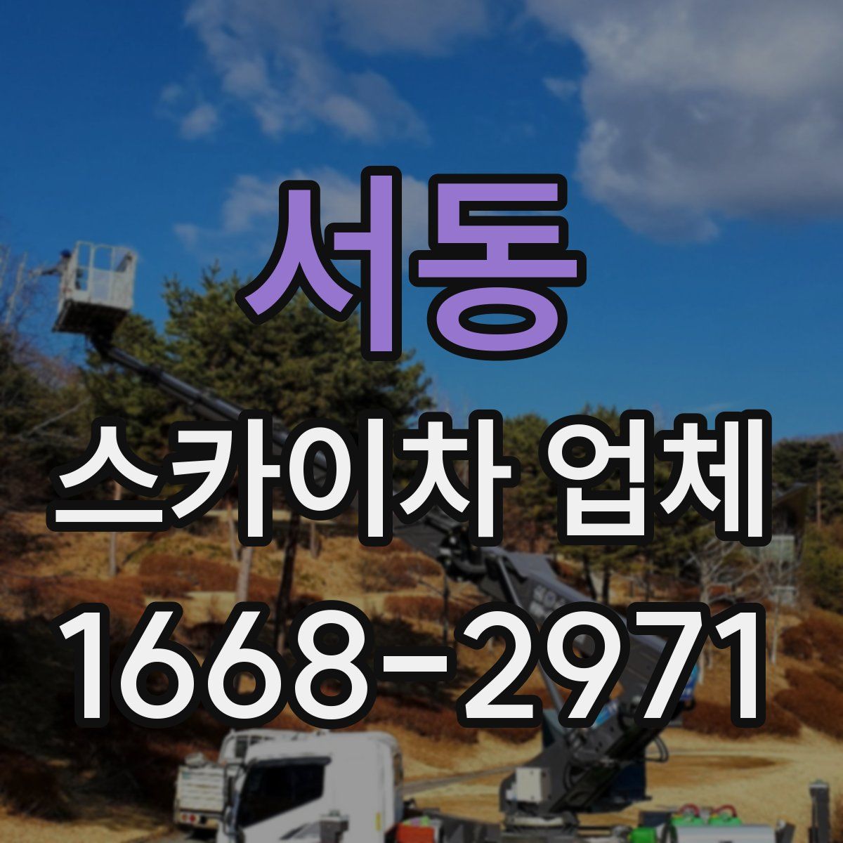 서동 스카이차 업체