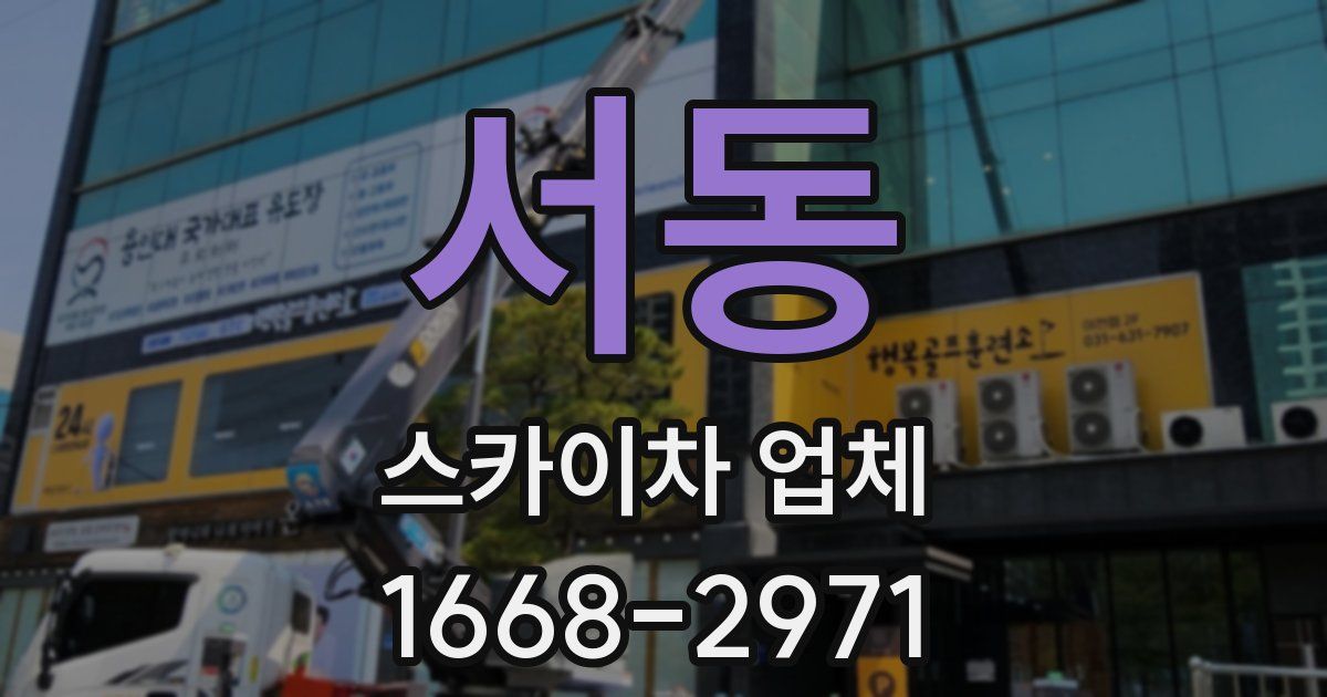 서동 스카이차 업체