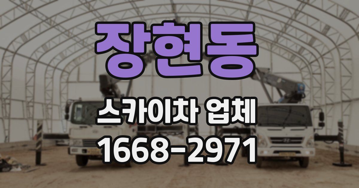 장현동 스카이차 업체