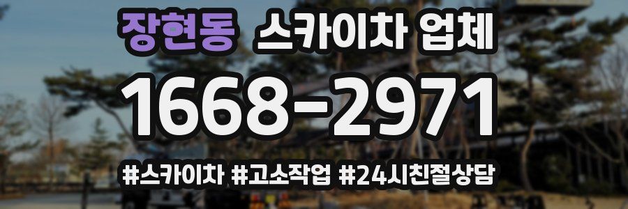 장현동 스카이차 업체