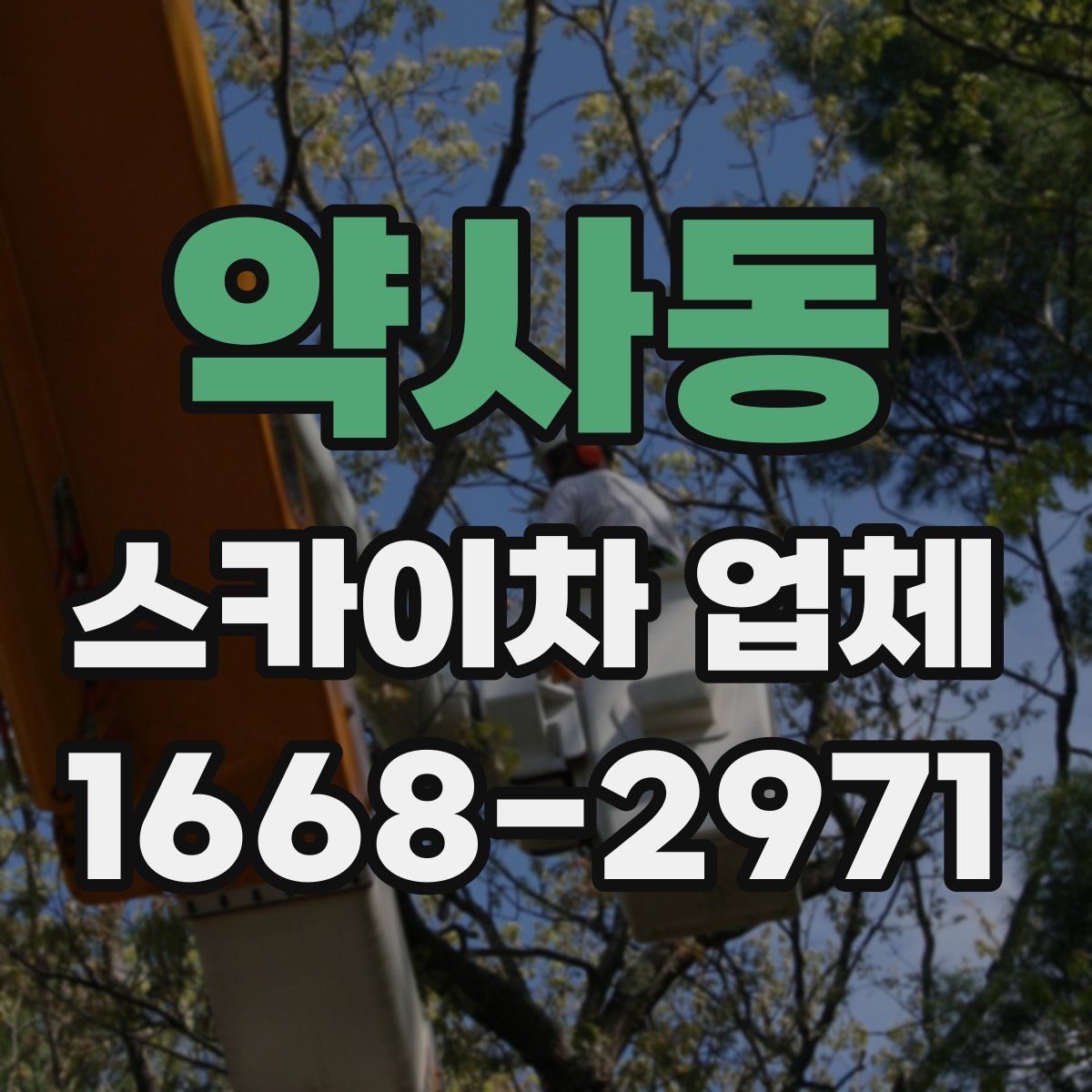 약사동 스카이차 업체