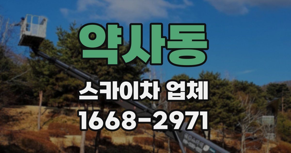 약사동 스카이차 업체