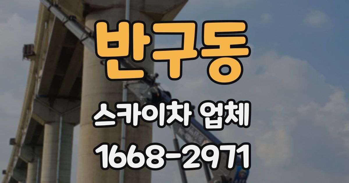 반구동 스카이차 업체