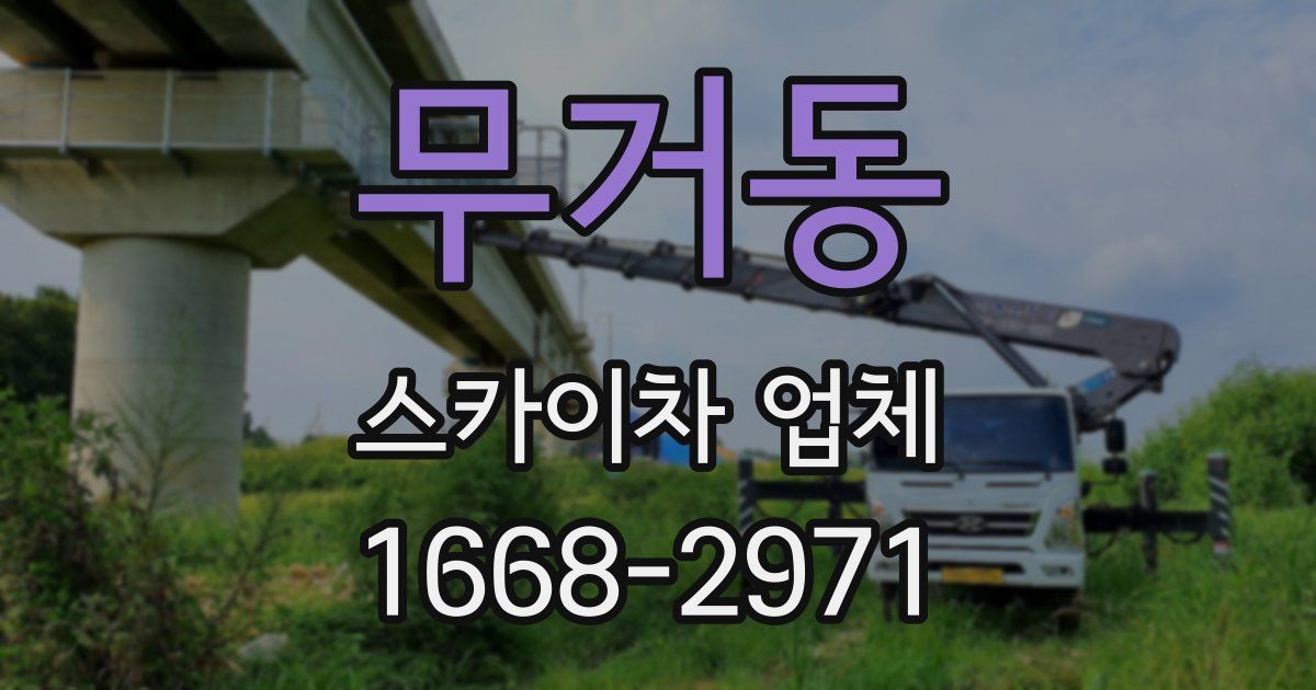 무거동 스카이차 업체