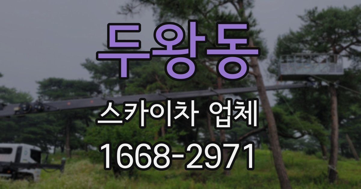 두왕동 스카이차 업체