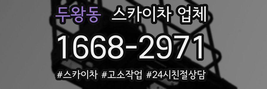 두왕동 스카이차 업체