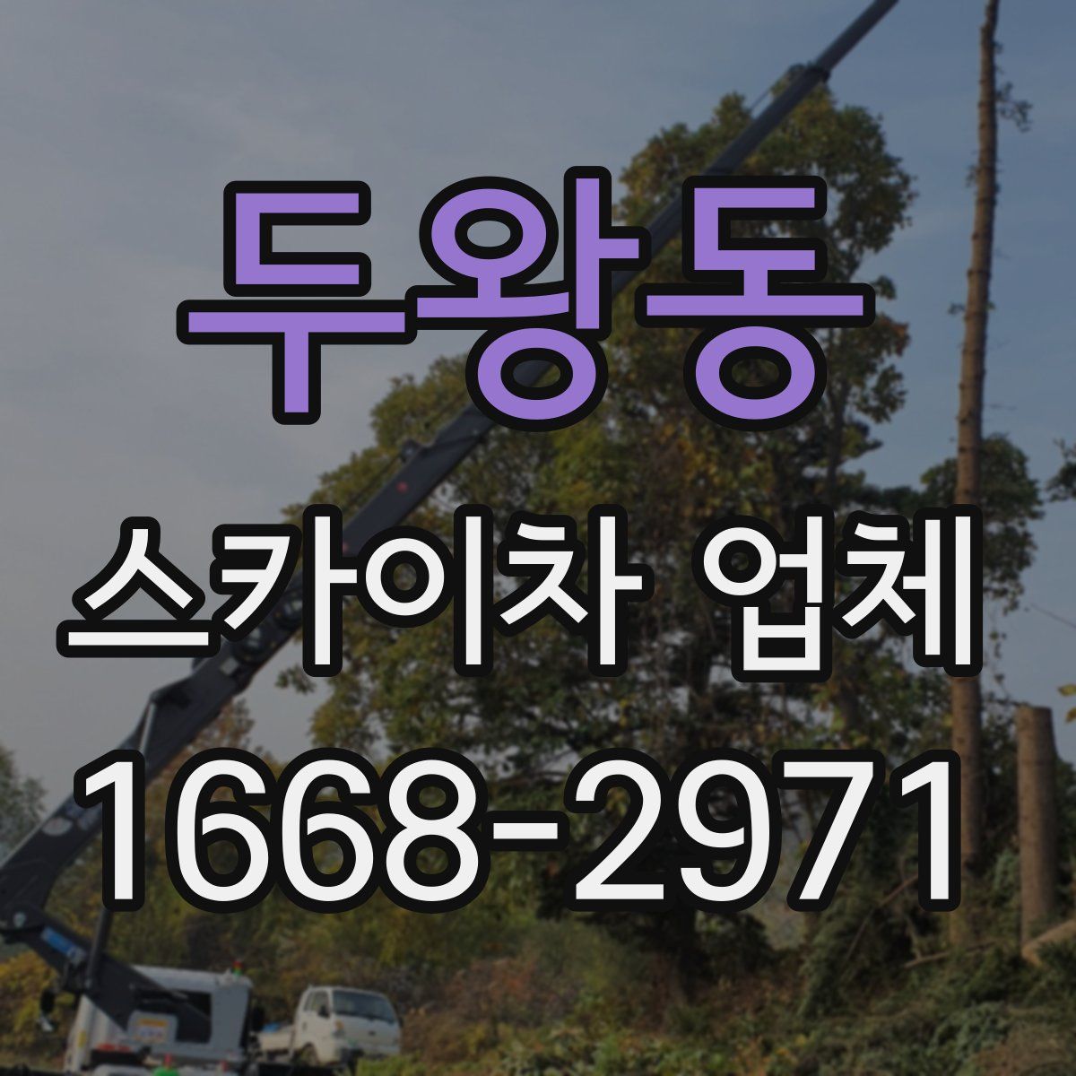 두왕동 스카이차 업체
