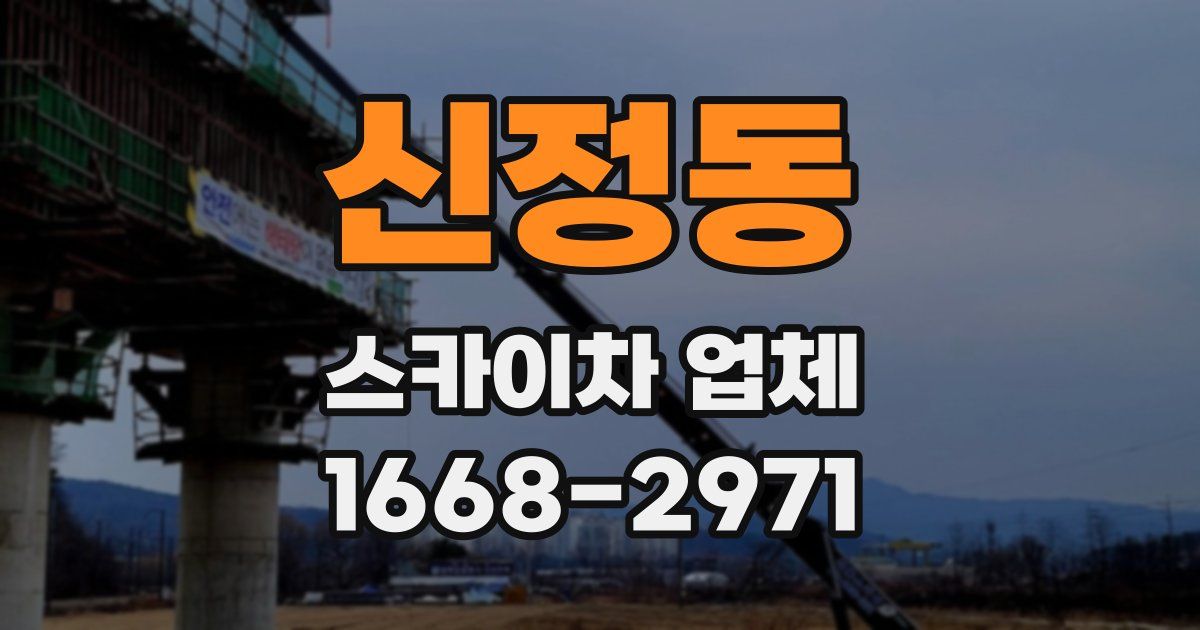 신정동 스카이차 업체