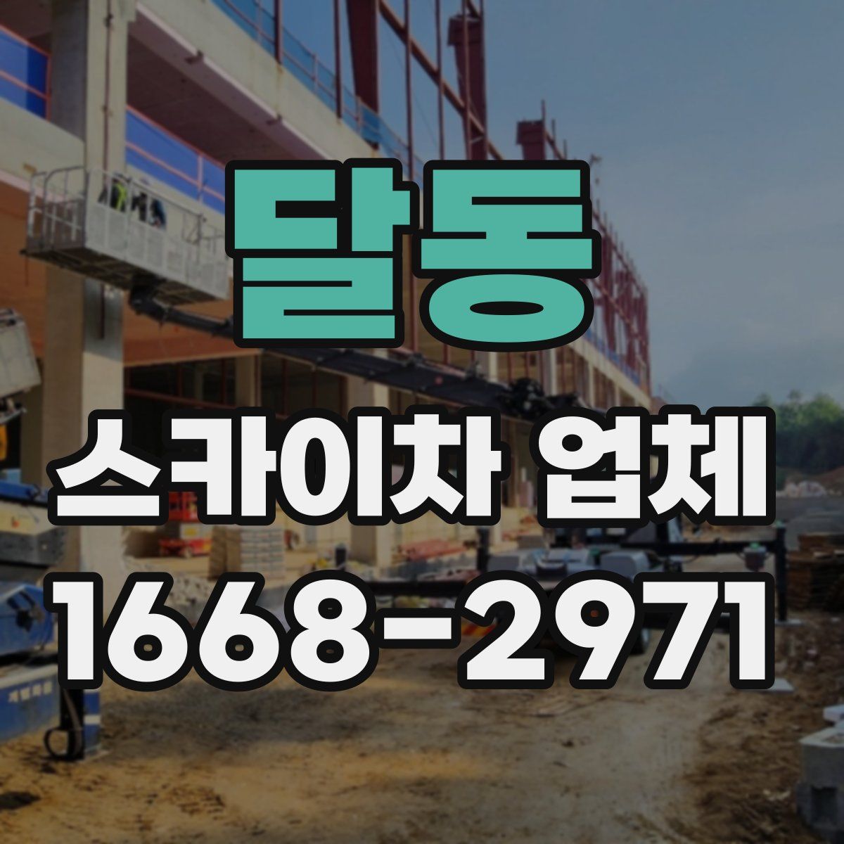 달동 스카이차 업체