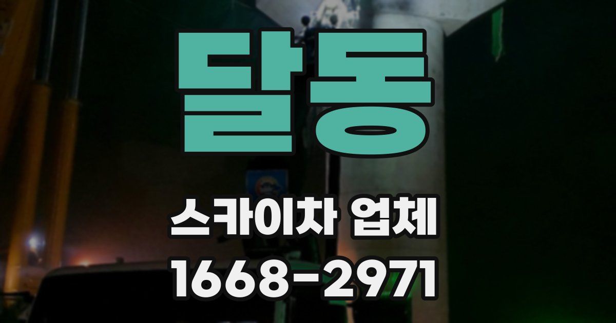 달동 스카이차 업체