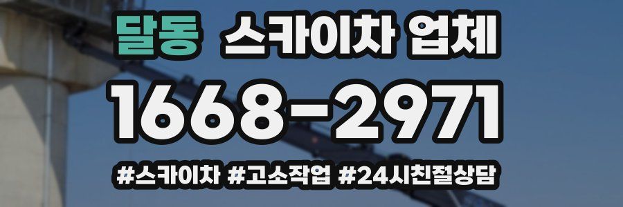 달동 스카이차 업체
