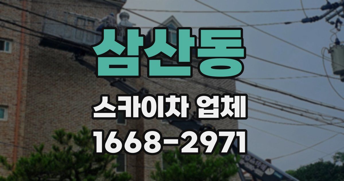삼산동 스카이차 업체