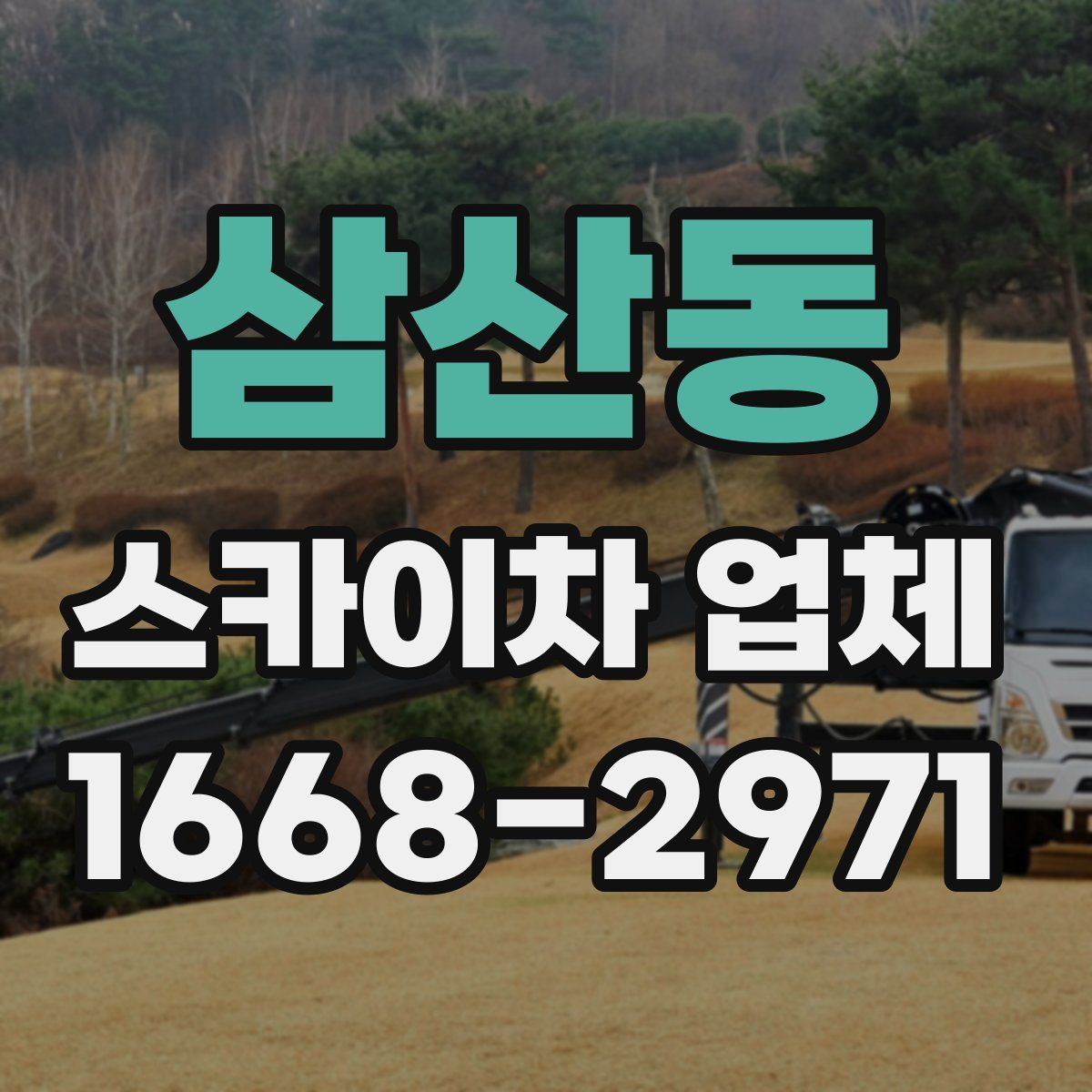 삼산동 스카이차 업체