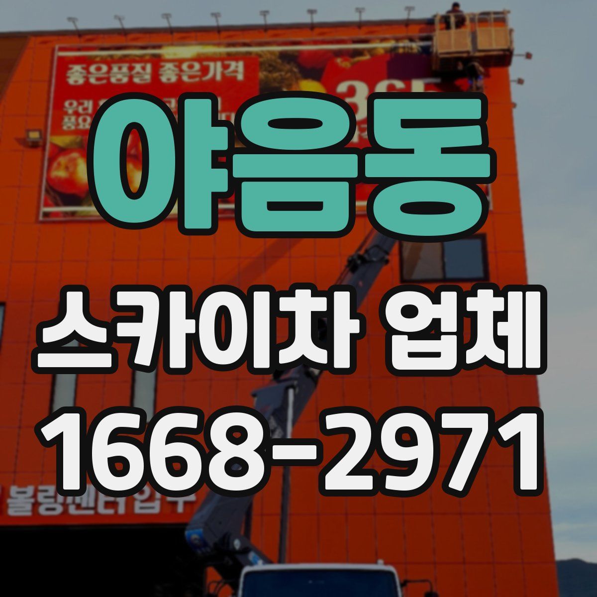 야음동 스카이차 업체