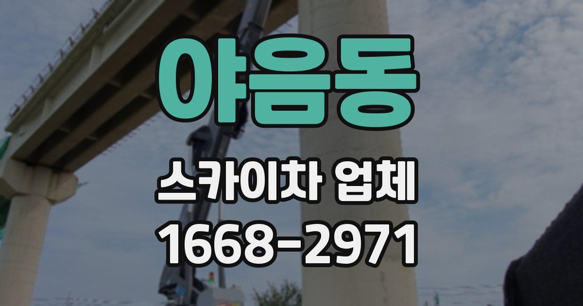 야음동 스카이차 업체