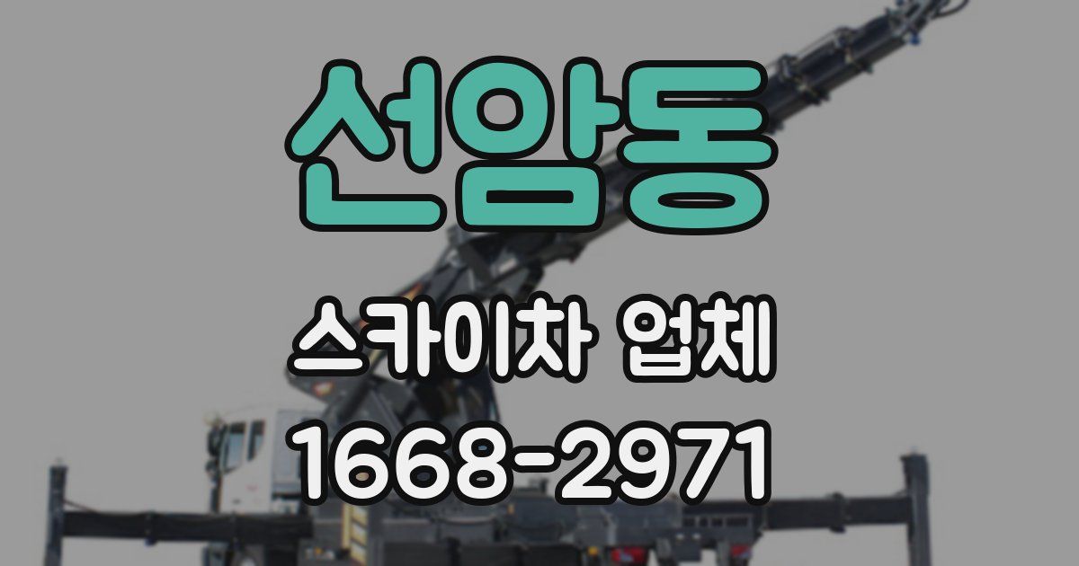 선암동 스카이차 업체