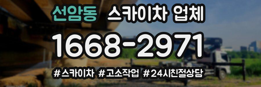 선암동 스카이차 업체