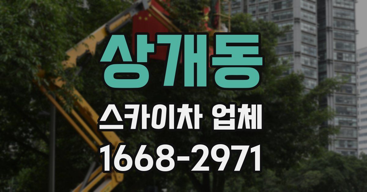 상개동 스카이차 업체