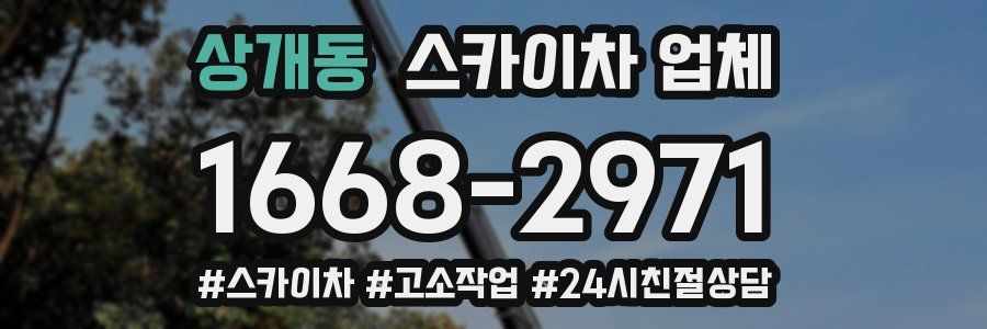 상개동 스카이차 업체
