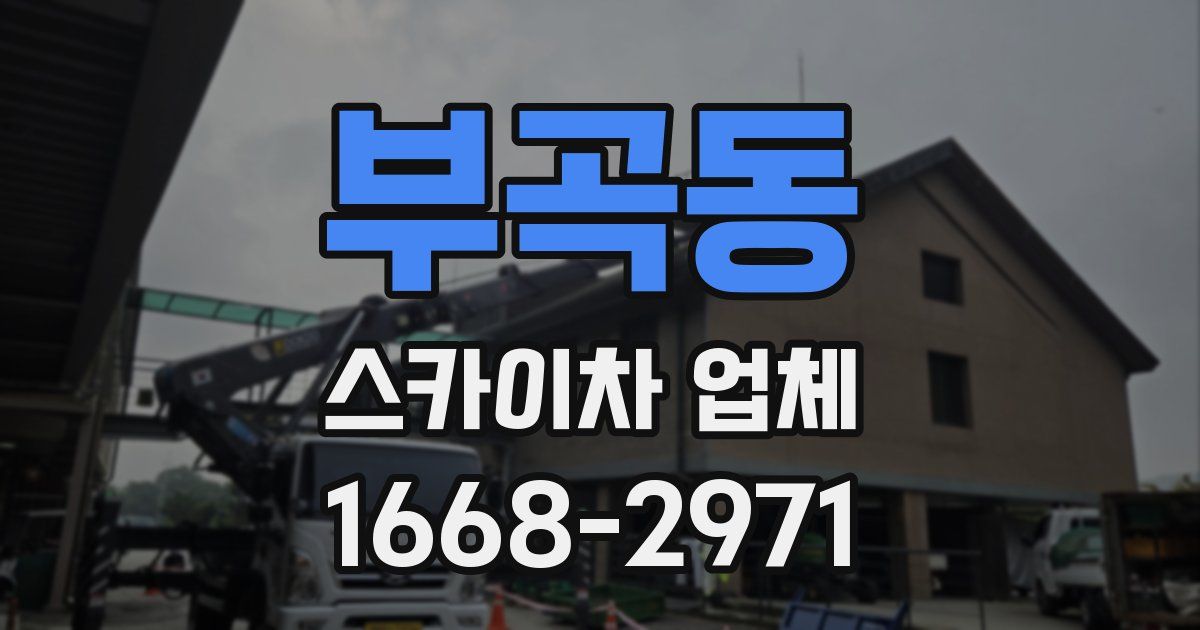 부곡동 스카이차 업체
