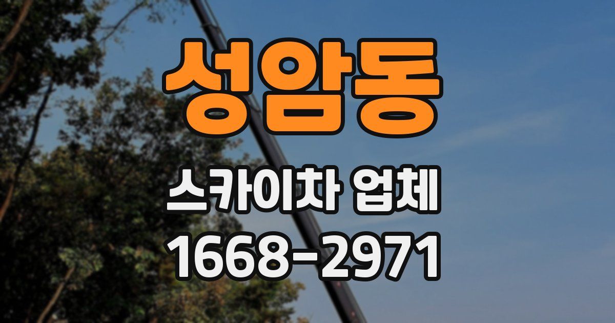 성암동 스카이차 업체