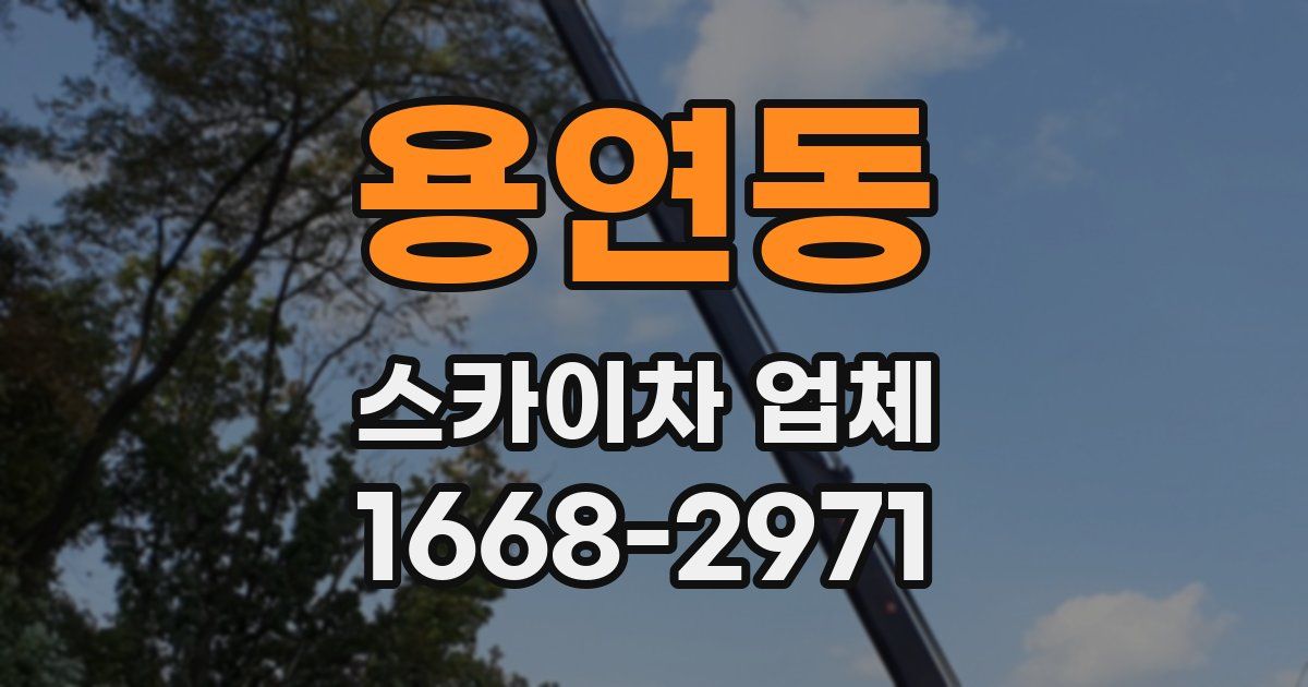 용연동 스카이차 업체