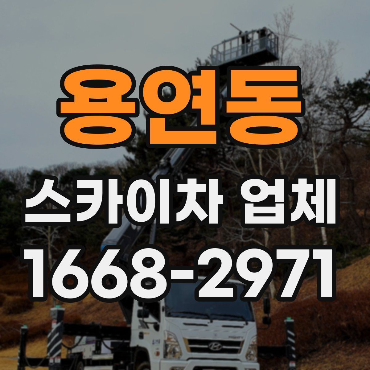 용연동 스카이차 업체