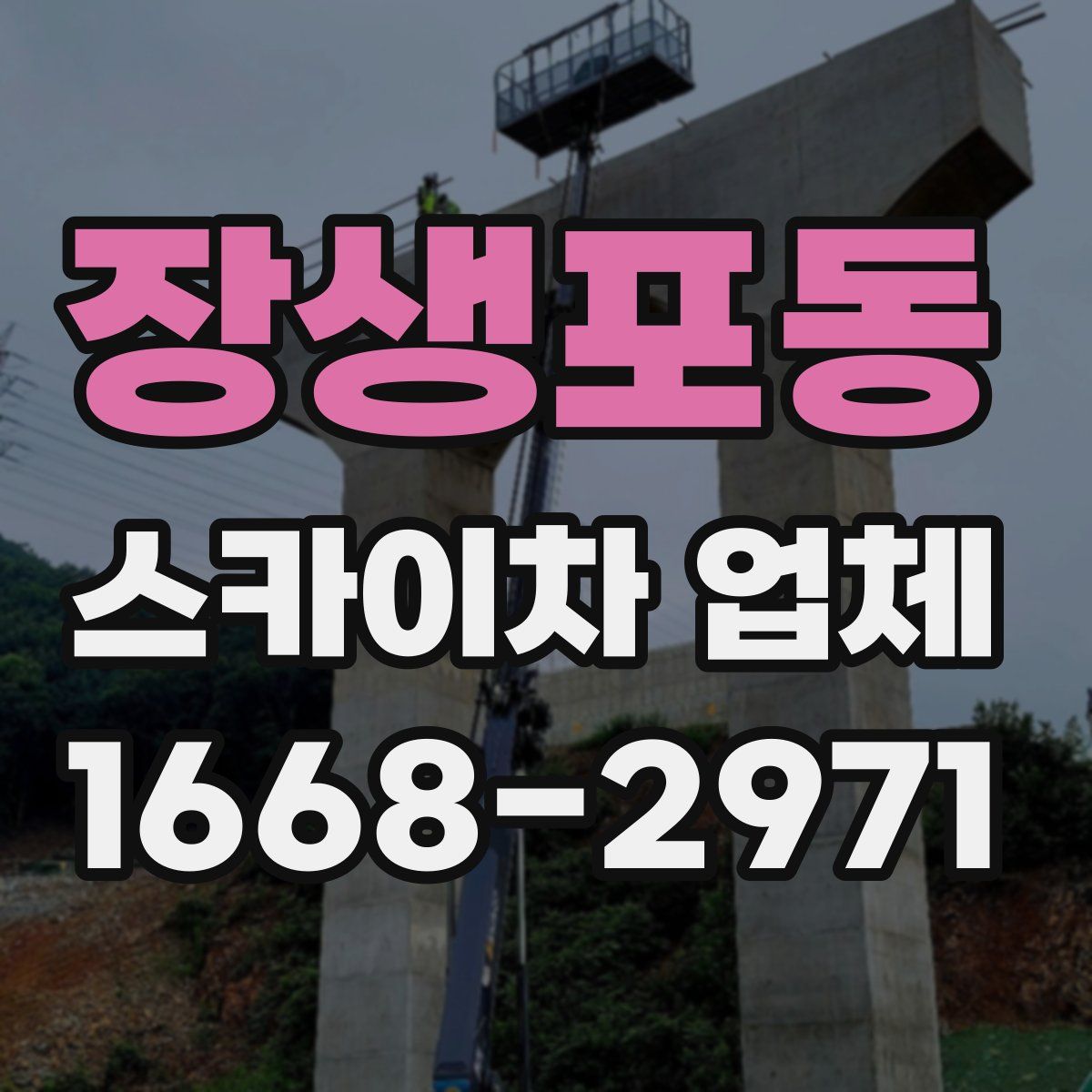 장생포동 스카이차 업체