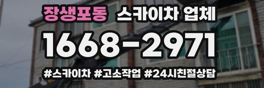 장생포동 스카이차 업체