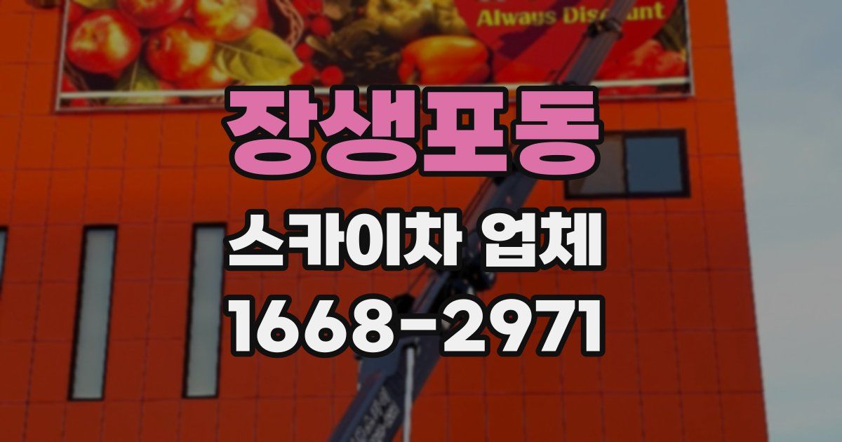 장생포동 스카이차 업체