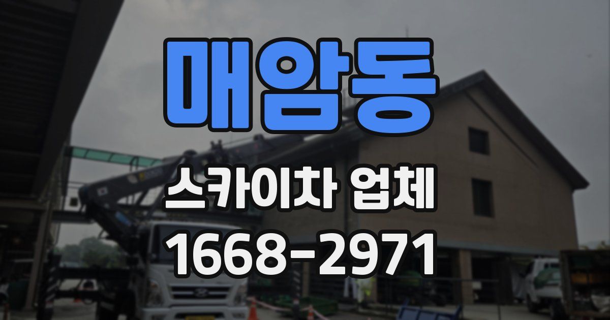 매암동 스카이차 업체