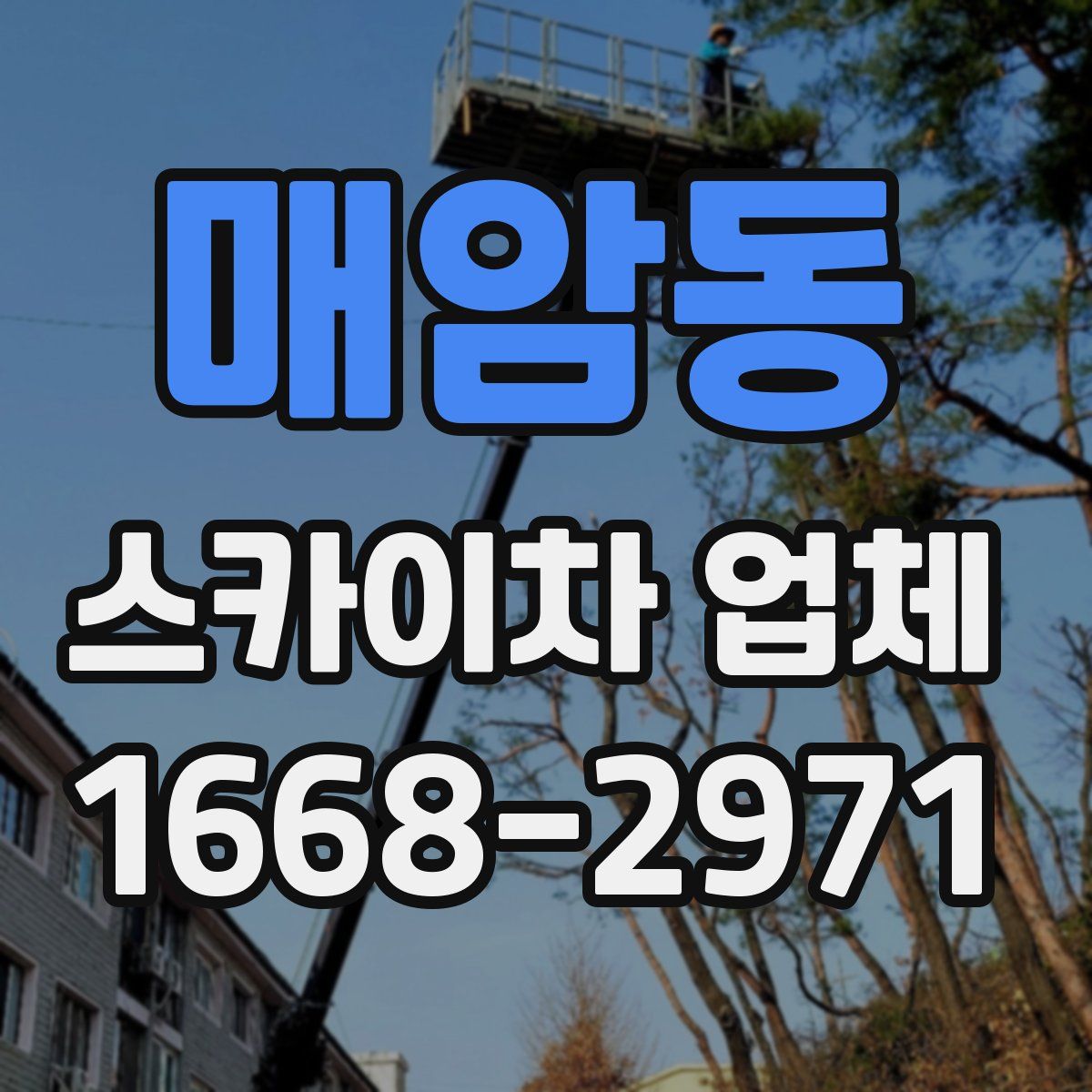 매암동 스카이차 업체