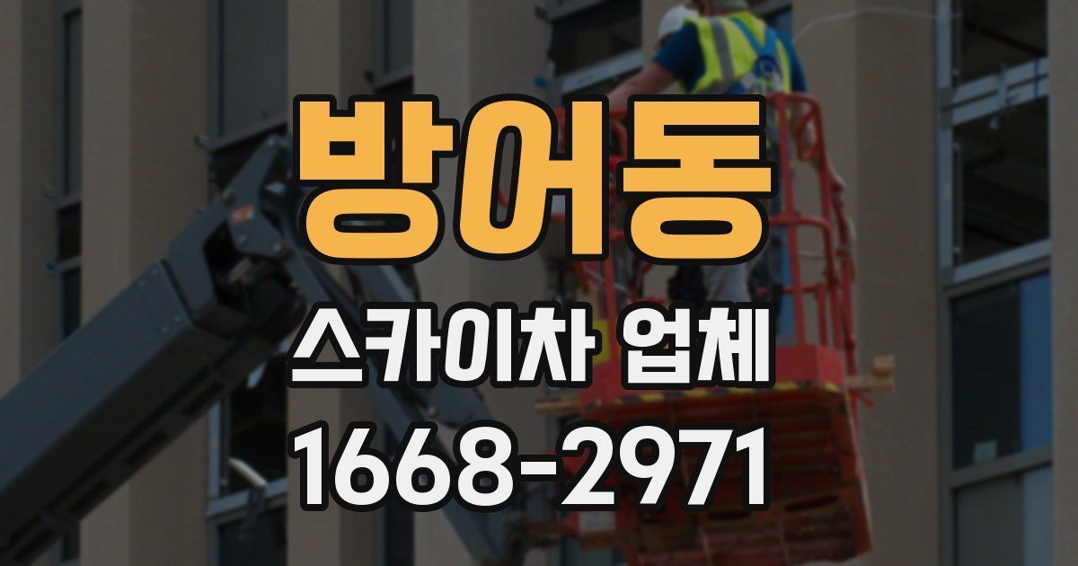방어동 스카이차 업체