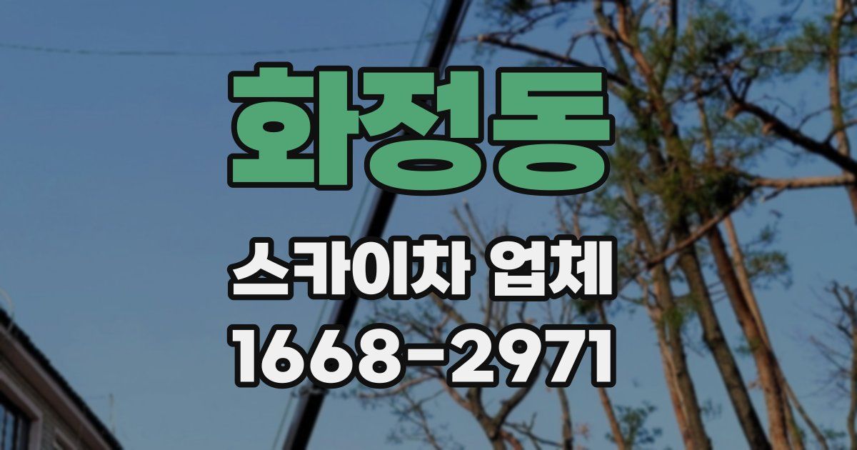 화정동 스카이차 업체